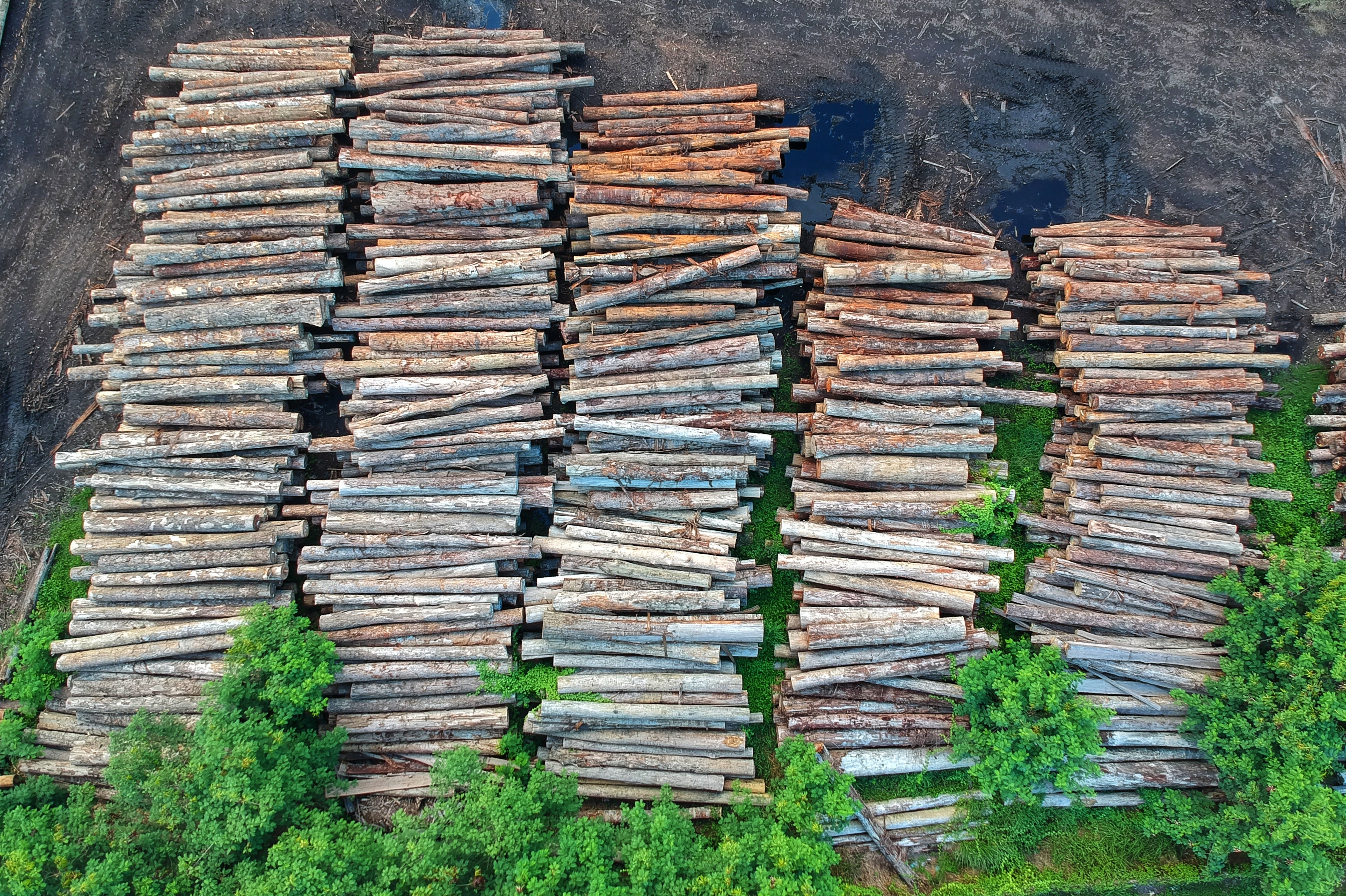 Bird’s eye view of stacked lumber